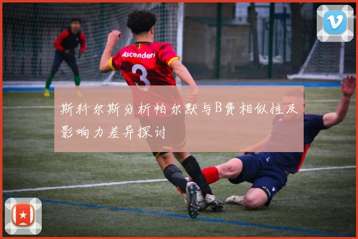 斯科尔斯分析帕尔默与B费相似性及影响力差异探讨